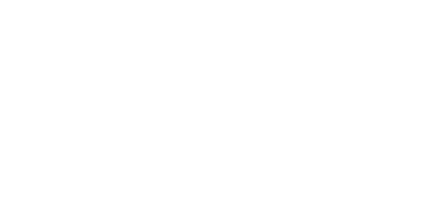 Omni Cyber Security
